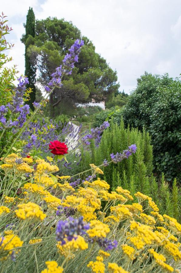 Milica Garden Apartment Prvic Sepurine Exterior foto
